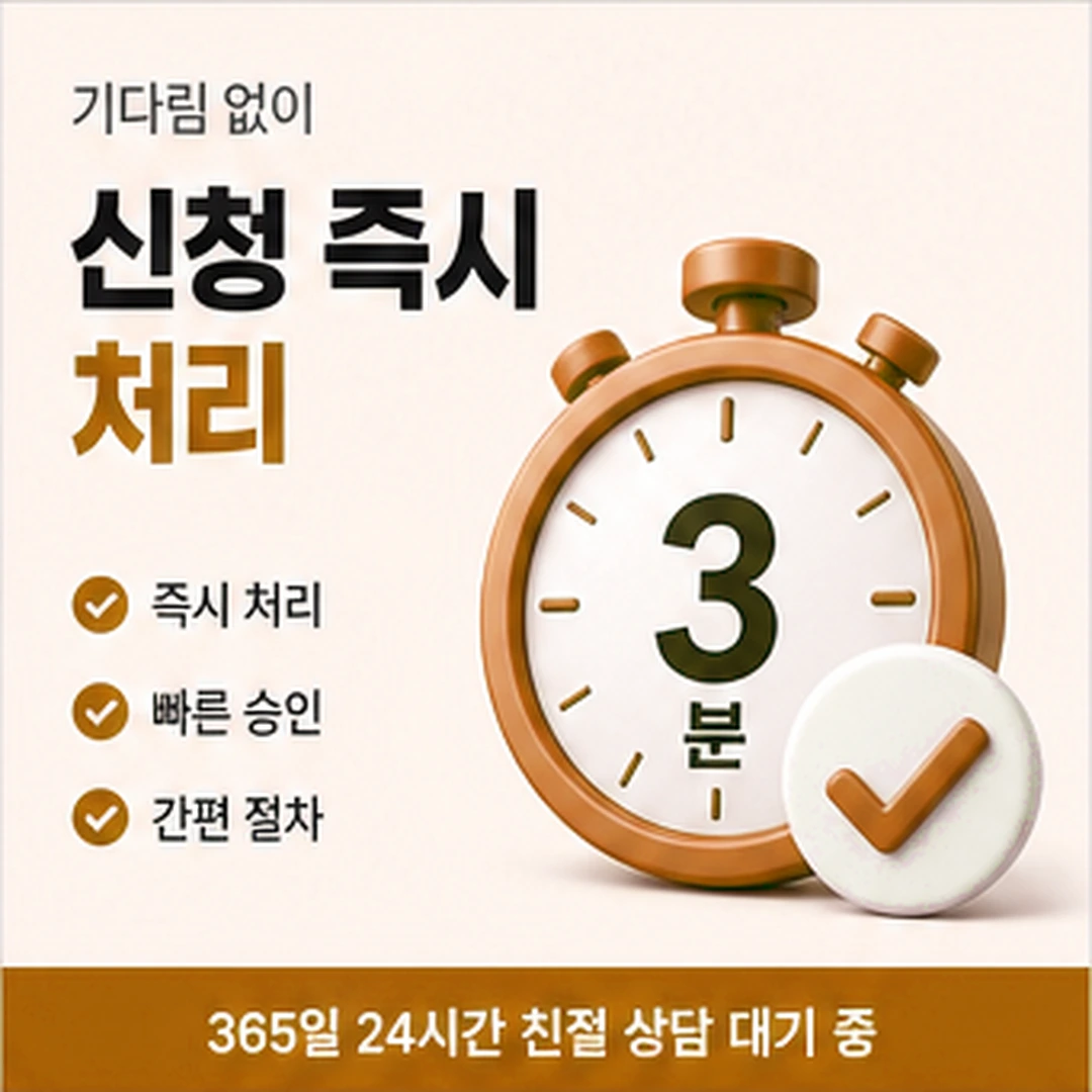 다음머니 신청 진행 순서 안내 배너 이미지